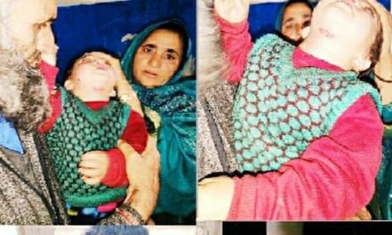 Stray Dogs Unleash Terror, Injure Nearly A Dozen in Lolab Areas