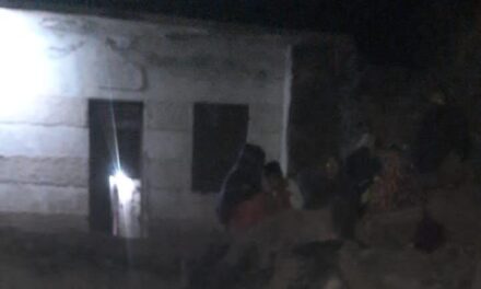 11 Cattle Burnt Alive After Fire In Cowshed In Poonch