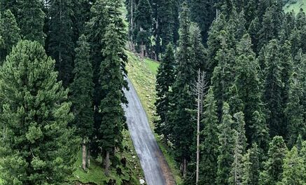 Infrastructure works in forest department hit due to delay in grant of administrative approval, technical sanction