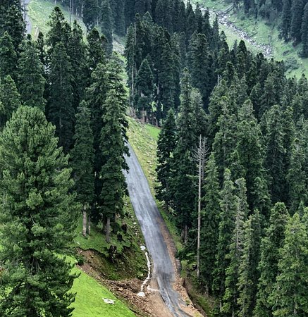 Infrastructure works in forest department hit due to delay in grant of administrative approval, technical sanction