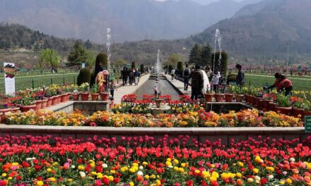 In March this year, 1.80 Lakh tourists visit Kashmir; first time in past 10 years