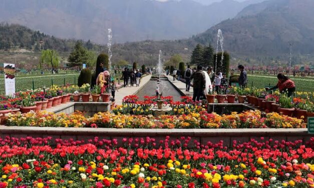 In March this year, 1.80 Lakh tourists visit Kashmir; first time in past 10 years