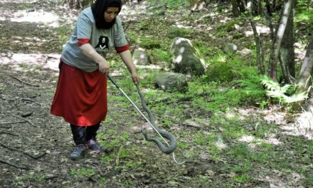Meet Kashmir’s lone female wildlife expert who rescues snakes, reptiles, wild animals in a ‘Play-Way Method’