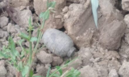 Grenade found in Budgam Village, Destroyed