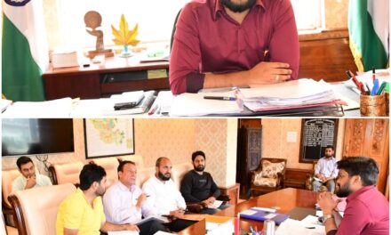 DC Ganderbal chairs DLC meeting for Revival, Restoration, Preservation & Maintenance of Architectural & Heritage sites of district
