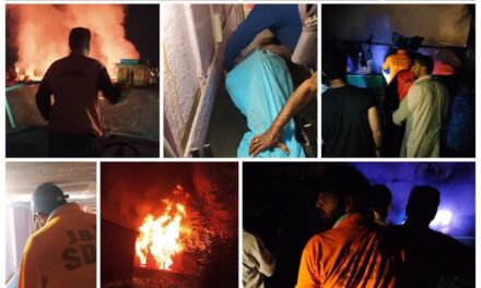 9-yr-old girl charred to death in Dal Lake blaze