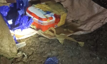 Woman among 3 held with narcotics, IEDs in Kupwara