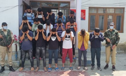 19 arrested for rioting, hooliganism in Srinagar: Police