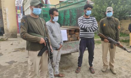 Budgam Police arrests 02 timber smugglers in Beerwah; 39 logs of illegal timber seized