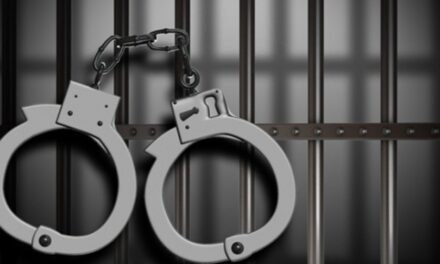 LeT Militant Associate Arrested in Sopore, Arms And Ammunition: Police