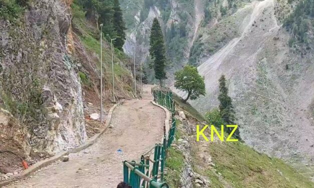 Full year insurance cover of Rs 5 lac for Horses, ponies for providing services in Amarnathji Yatra: Div Com