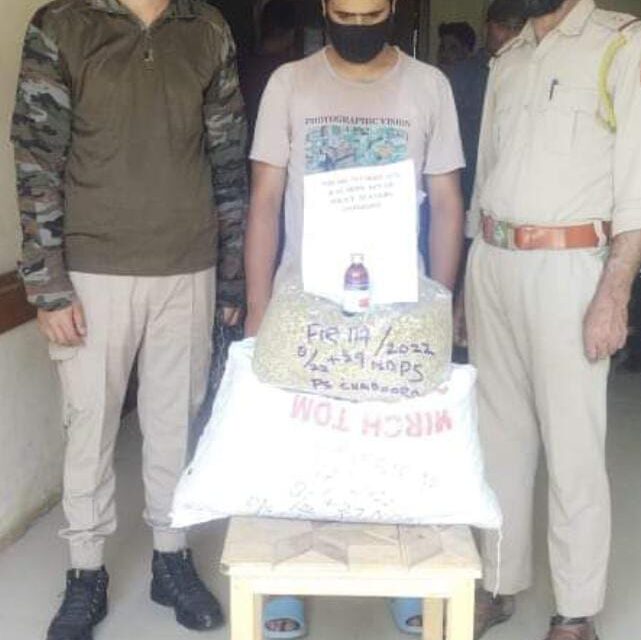 Budgam Police arrests drug peddler; Contraband Substance recovered
