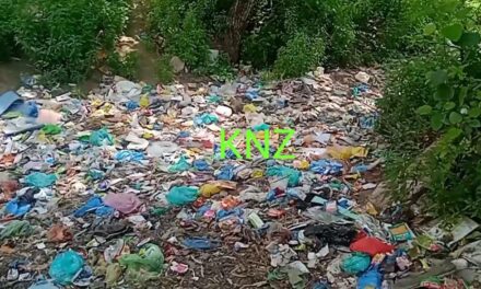 Heaps of Garbage Dump at Baghwan Mohalla Safapora, residents suffer
