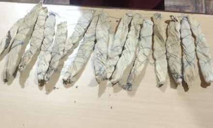 Lady Drug peddler held along with 250gm Charas like substance in Baramulla: Police