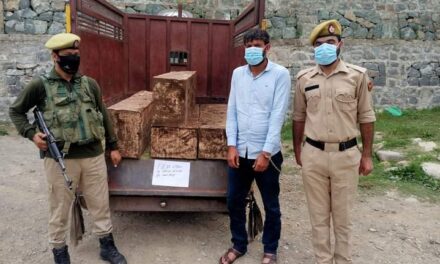 Budgam Police recovered illicit timber at Pakherpora,accused arrested