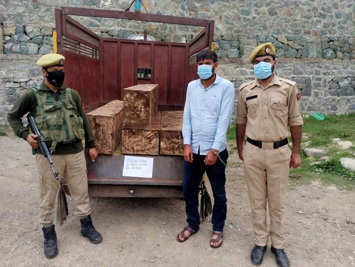 Budgam Police recovered illicit timber at Pakherpora,accused arrested
