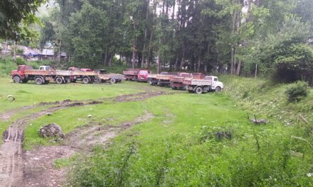 14 tippers among 17 Vehicles seized for illegal extraction during night raids in Ganderbal
