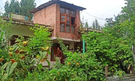 5 more houses attached under UAPA in Srinagar: Police