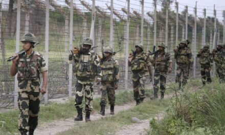 ‘Infiltration Attempt’ Foiled Along LoC In Poonch: Army