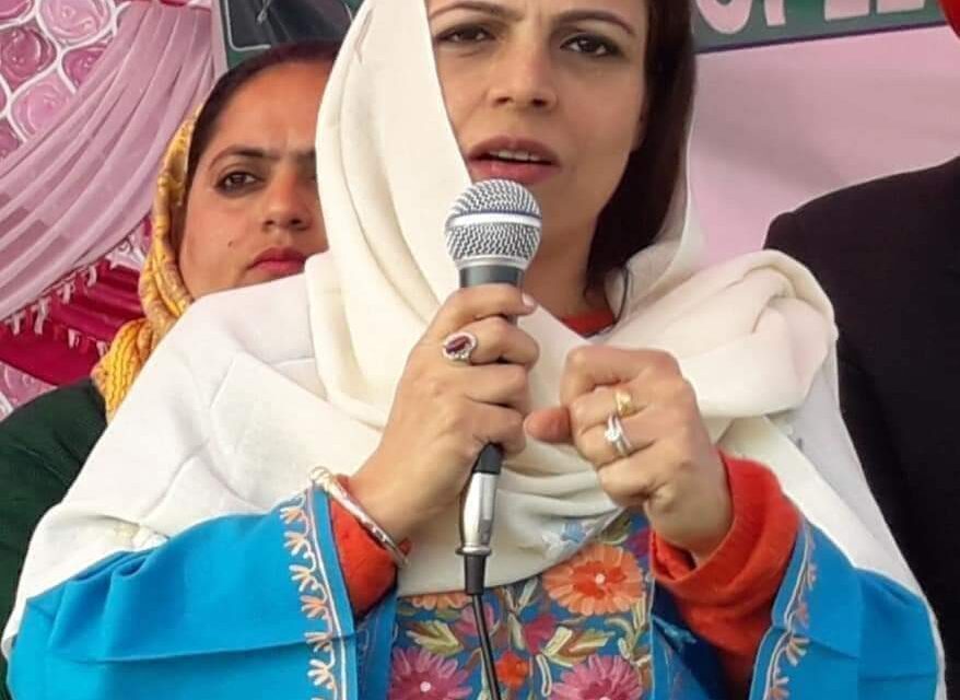 Safina Baig elected as chairperson of Haj Committee