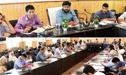 DC Gbl reviews developmental scenario, implementation of various schemes in district