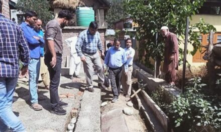 DC Pulwama initiates action against the contractor for using substandard material