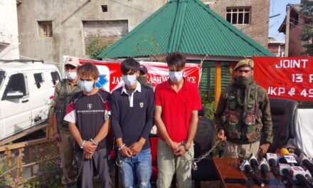 3 militants involved in killing of migrant labourer in Bandipora held, case solved: Police