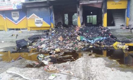 3 shops gutted in overnight blaze in Ganderbal