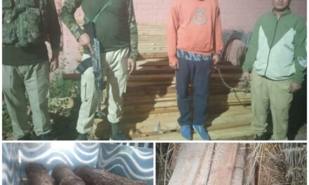 Smuggler arrested; illicit timber seized in Ganderbal: Police