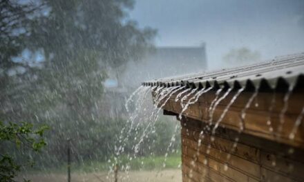 MeT predicts light rain in 24 hours, dry weather thereafter in J&K