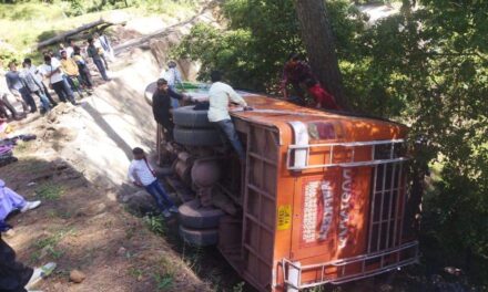 1 person killed, 14 others injured in mini bus accident in Udhampur