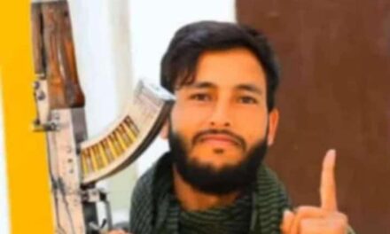 SPO Dies, Another Person Injured in Road Mishap in Drugmulla Kupwara