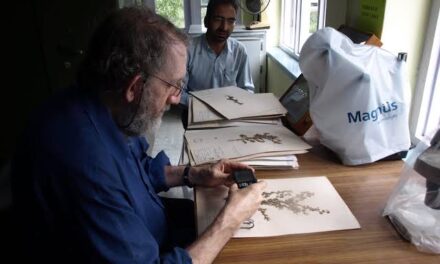 KU’s Herbarium declared 3rd largest in North-western Himalayas, “60K specimen present in Herbarium: Curator