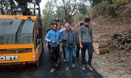 Chief Engineer R&B Kashmir visits Peth-Wayil,Dal Colony roads site;inspects ongoing macadamisation work