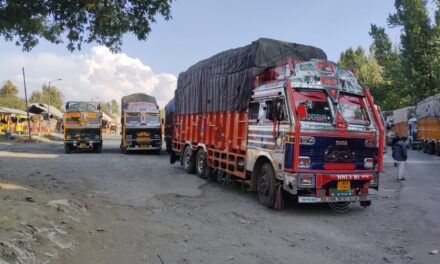 Trucks transport 16,500 cattle from Ramban via Jammu-Srinagar National Highway