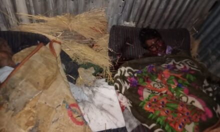 Two labourers from UP killed in Shopian: Police