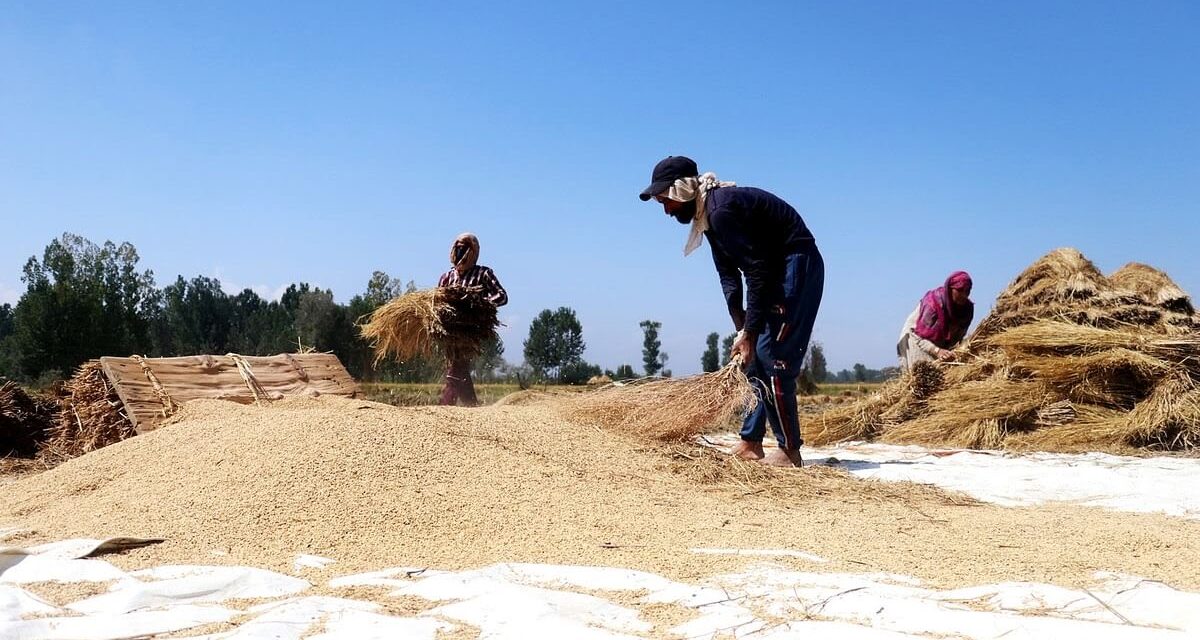 MeT forecasts mainly dry weather in J&K