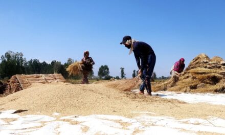 MeT Forecasts Scattered Light Rain, Thunder In J&K