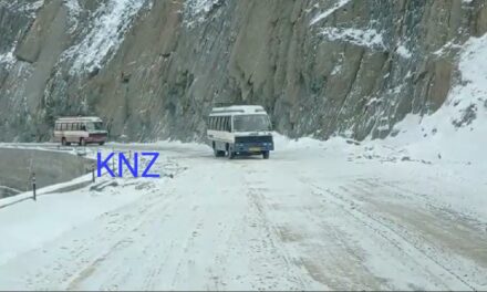 Traffic movement on Srinagar-Leh highway restored