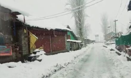 Mughal, SSG Roads Closed Due To Snowfall; People Advised To Confirm Highway Status Before Travel