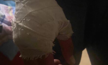 Late Night Scuffle Between Two Groups of Students in NIT Srinagar, 5 Students Suffer Minor Injuries: Police