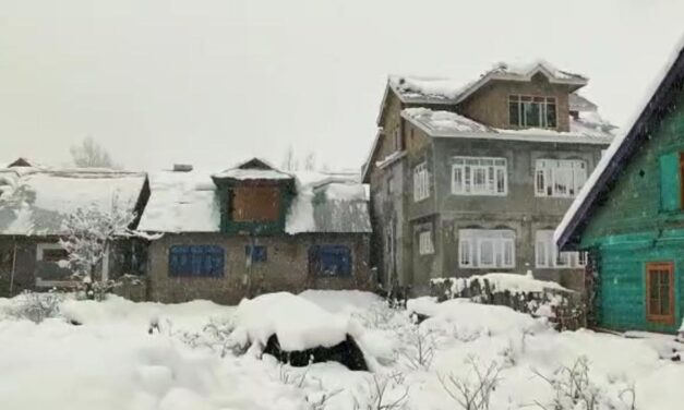 Light Rain Lash Plains, Snowfall Over Upper Reaches In J&K;MeT Forecasts Mainly Dry Weather From Nov 11-20