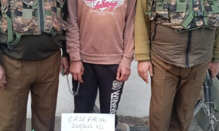 Man arrested for murdering sister-in-law in Srinagar: Police