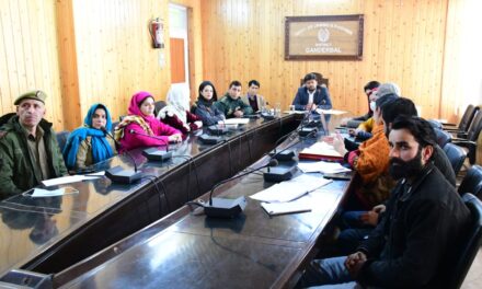 DC Ganderbal reviews implementation of ICPS in district