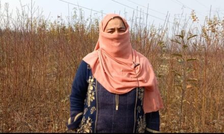 Earning out of Trees: Kulgam woman earns her living from a Tree Nursery