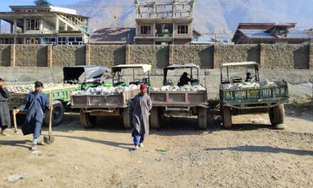 11 vehicles seized by Geology and Mining department in crackdown on illegal mining, transporting In Ganderbal