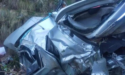 Couple killed as car plunges into gorge in Doda