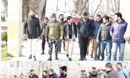 DC Ganderbal visits Kheer Bhawani Temple,archeological site Malshahi Bagh;Directs for development of both sites