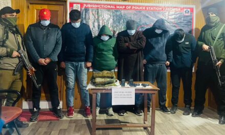 Criminal Gang Busted in Srinagar, 6 of its Members Arrested: Police