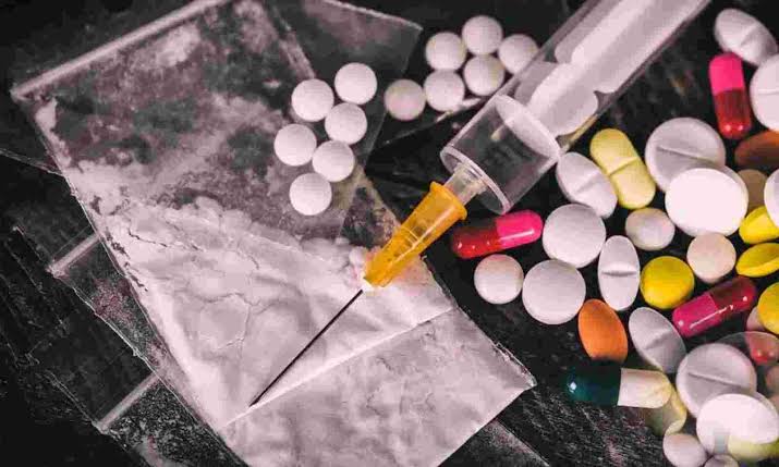 War Against Drugs: 45 Booked Under PSA, 175 NDPS Act Cases Registered in Baramulla & Kupwara in 2022